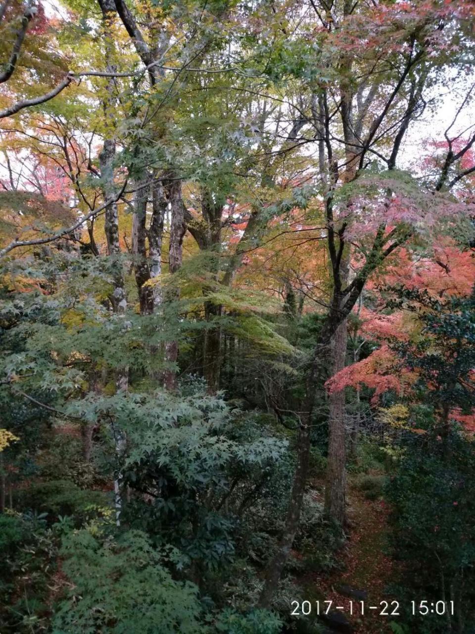 Hakone Miyagino House Apartman Kültér fotó